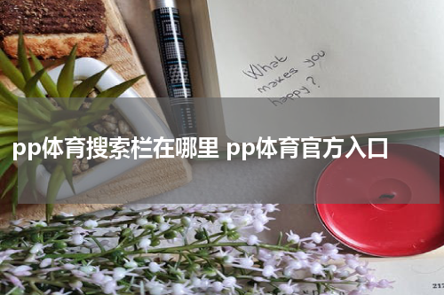 pp体育搜索栏在哪里 pp体育官方入口