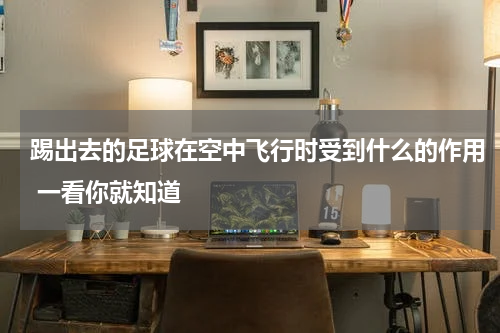 踢出去的足球在空中飞行时受到什么的作用 一看你就知道