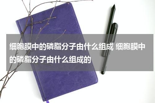 细胞膜中的磷脂分子由什么组成 细胞膜中的磷脂分子由什么组成的