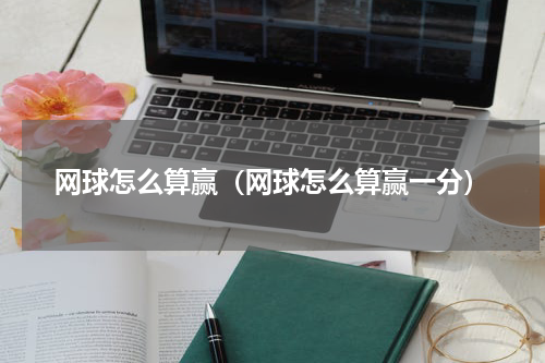 网球怎么算赢（网球怎么算赢一分）