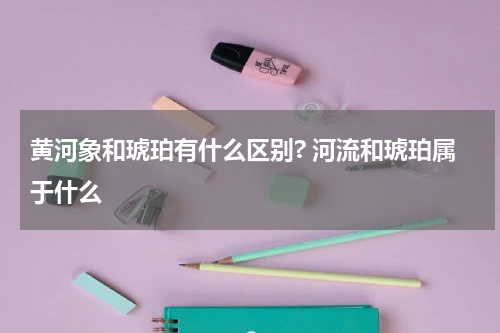黄河象和琥珀有什么区别? 河流和琥珀属于什么