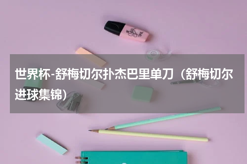 世界杯-舒梅切尔扑杰巴里单刀（舒梅切尔进球集锦）