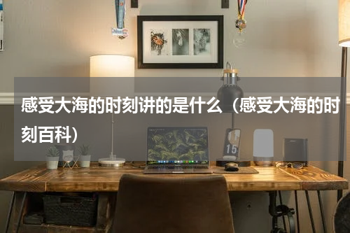 感受大海的时刻讲的是什么（感受大海的时刻百科）