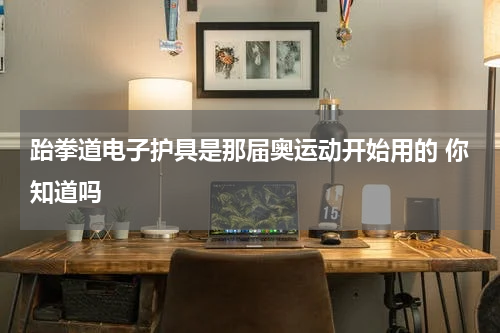 跆拳道电子护具是那届奥运动开始用的 你知道吗