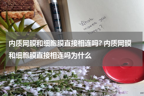 内质网膜和细胞膜直接相连吗? 内质网膜和细胞膜直接相连吗为什么