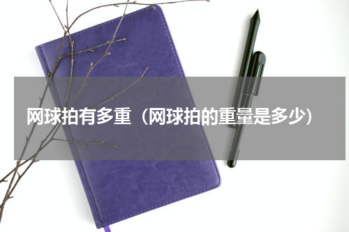 网球拍有多重（网球拍的重量是多少）