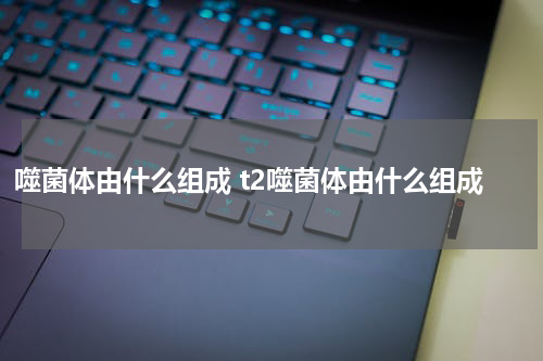 噬菌体由什么组成 t2噬菌体由什么组成