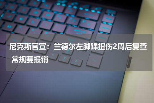 尼克斯官宣：兰德尔左脚踝扭伤2周后复查 常规赛报销