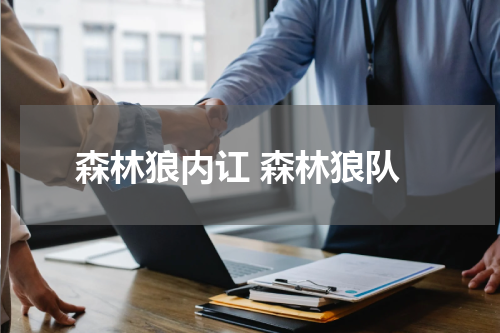 森林狼内讧 森林狼队