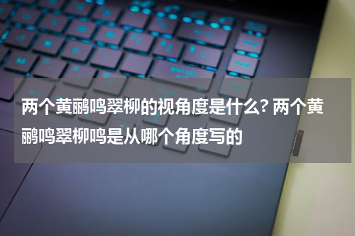两个黄鹂鸣翠柳的视角度是什么? 两个黄鹂鸣翠柳鸣是从哪个角度写的