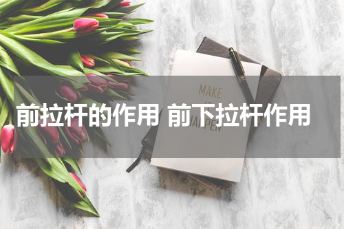 前拉杆的作用 前下拉杆作用