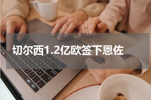 切尔西1.2亿欧签下恩佐