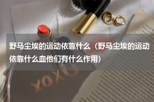 野马尘埃的运动依靠什么（野马尘埃的运动依靠什么血他们有什么作用）