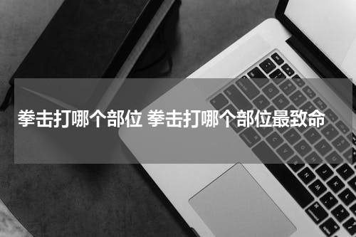 拳击打哪个部位 拳击打哪个部位最致命