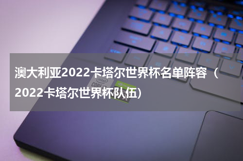 澳大利亚2022卡塔尔世界杯名单阵容（2022卡塔尔世界杯队伍）