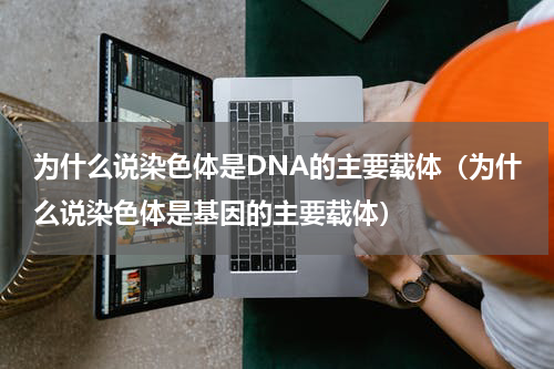 为什么说染色体是DNA的主要载体（为什么说染色体是基因的主要载体）