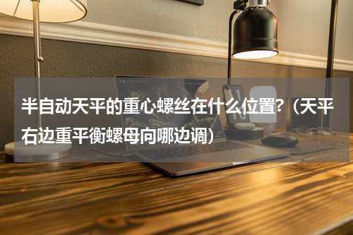 半自动天平的重心螺丝在什么位置?（天平右边重平衡螺母向哪边调）