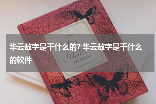 华云数字是干什么的? 华云数字是干什么的软件