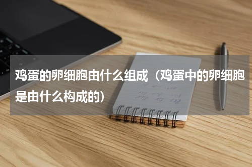 鸡蛋的卵细胞由什么组成（鸡蛋中的卵细胞是由什么构成的）