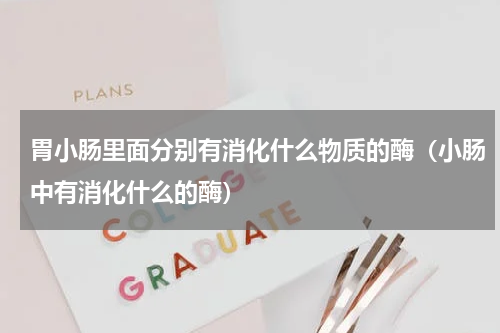 胃小肠里面分别有消化什么物质的酶（小肠中有消化什么的酶）