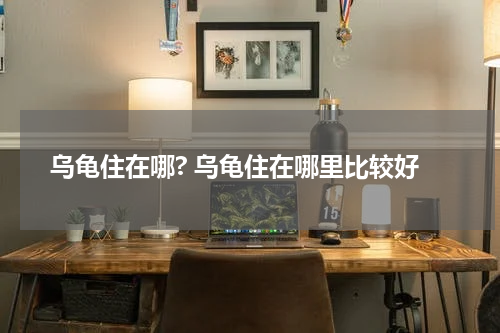 乌龟住在哪? 乌龟住在哪里比较好