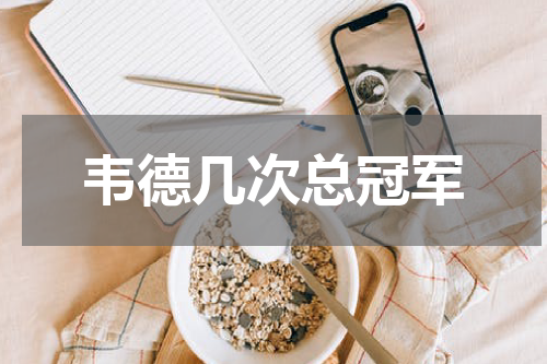 韦德几次总冠军