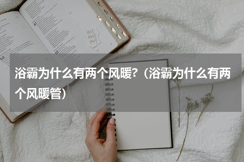 浴霸为什么有两个风暖?（浴霸为什么有两个风暖管）
