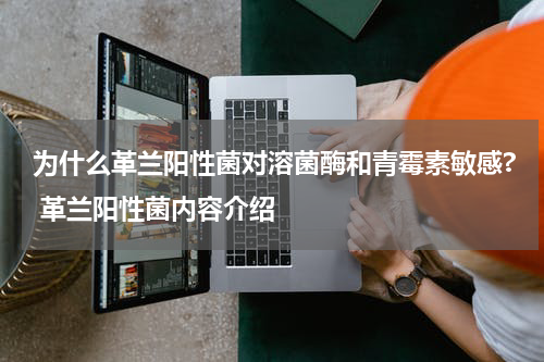 为什么革兰阳性菌对溶菌酶和青霉素敏感? 革兰阳性菌内容介绍
