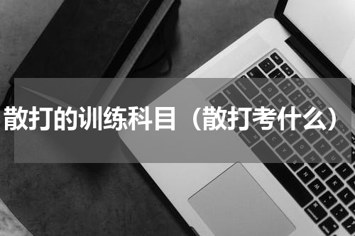 散打的训练科目（散打考什么）