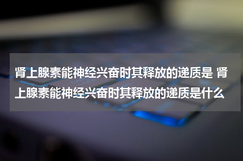 肾上腺素能神经兴奋时其释放的递质是 肾上腺素能神经兴奋时其释放的递质是什么