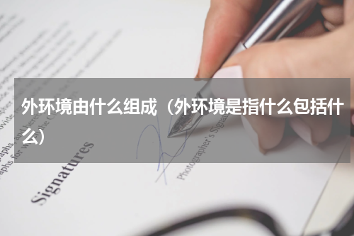 外环境由什么组成（外环境是指什么包括什么）