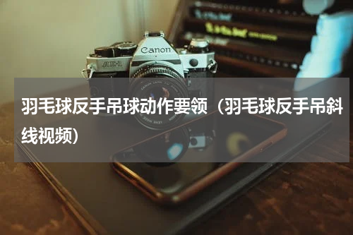 羽毛球反手吊球动作要领（羽毛球反手吊斜线视频）