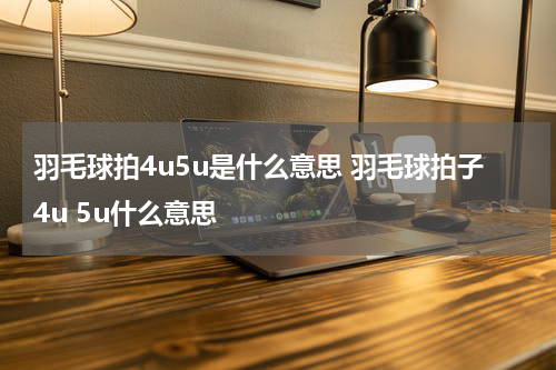 羽毛球拍4u5u是什么意思 羽毛球拍子4u 5u什么意思
