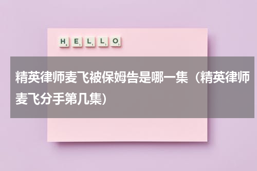 精英律师麦飞被保姆告是哪一集（精英律师麦飞分手第几集）