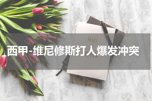 西甲-维尼修斯打人爆发冲突