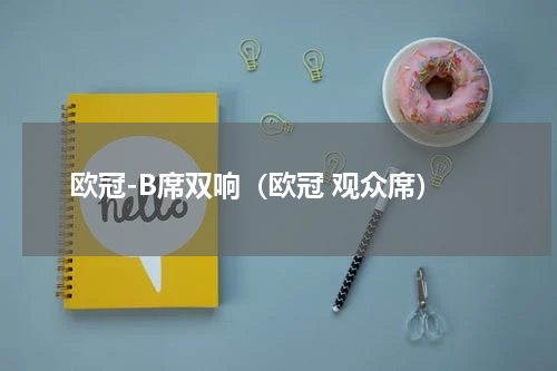欧冠-B席双响（欧冠 观众席）