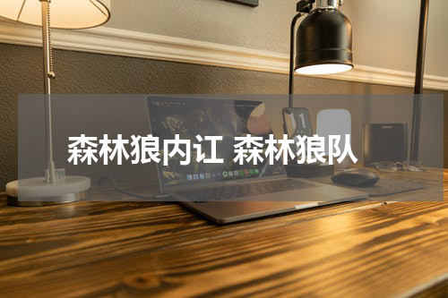 森林狼内讧 森林狼队