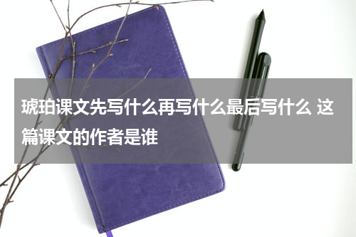 琥珀课文先写什么再写什么最后写什么 这篇课文的作者是谁