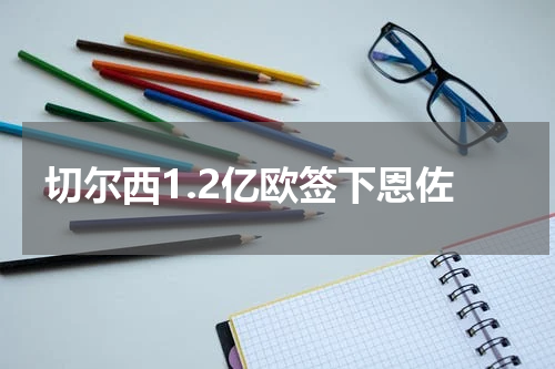 切尔西1.2亿欧签下恩佐