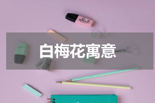 白梅花寓意