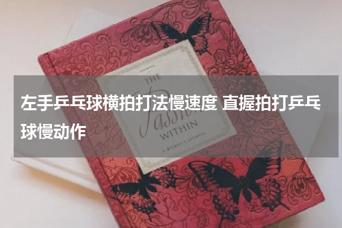左手乒乓球横拍打法慢速度 直握拍打乒乓球慢动作