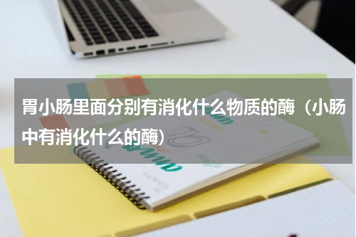 胃小肠里面分别有消化什么物质的酶（小肠中有消化什么的酶）
