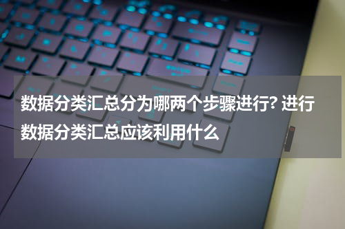 数据分类汇总分为哪两个步骤进行? 进行数据分类汇总应该利用什么