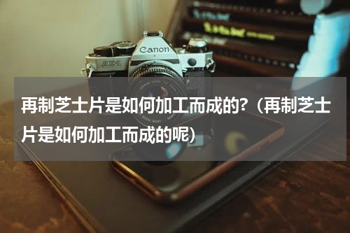 再制芝士片是如何加工而成的?（再制芝士片是如何加工而成的呢）