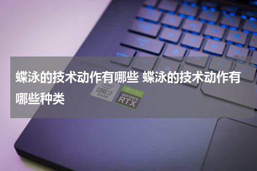 蝶泳的技术动作有哪些 蝶泳的技术动作有哪些种类
