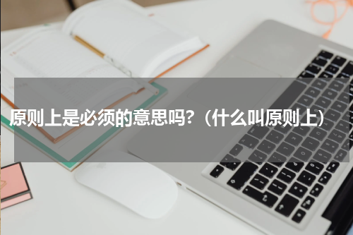 原则上是必须的意思吗?（什么叫原则上）