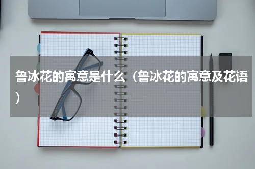 鲁冰花的寓意是什么（鲁冰花的寓意及花语）