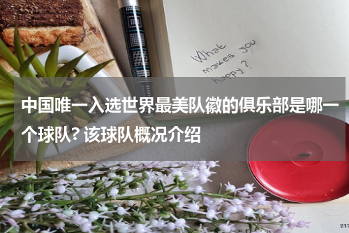 中国唯一入选世界最美队徽的俱乐部是哪一个球队? 该球队概况介绍