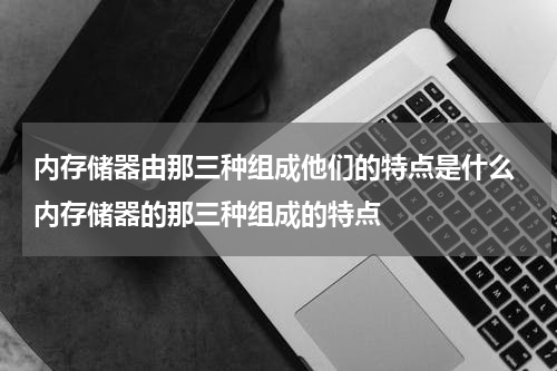 内存储器由那三种组成他们的特点是什么 内存储器的那三种组成的特点
