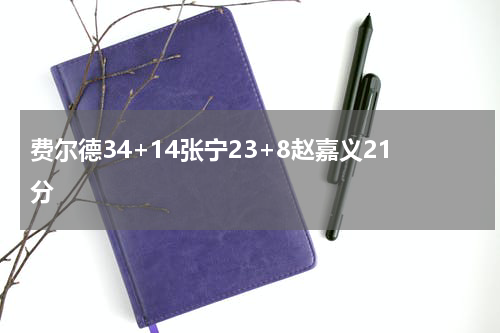 费尔德34+14张宁23+8赵嘉义21分